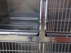 -创凡宠物医院·骨专科  猫科中心(西乡分院)