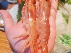 北海道牡丹虾-柚子(假日店)