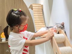 -COLOR PETS 撸猫馆·购猫·猫咖(长风大悦城店)
