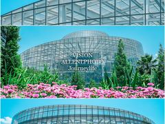 -昆明植物园