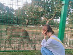 -西安秦岭野生动物园