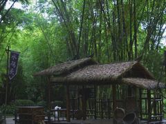 -望江楼公园