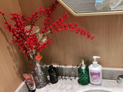 -苑苑vbeauty科技美容SPA
