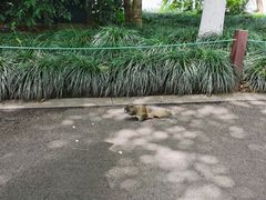 -苏堤停车场
