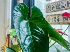 -当代MOMAKIDS托育中心