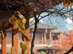 -香积寺