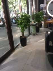 -魔型社