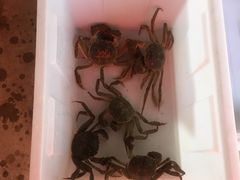 -乡乐园蟹庄·阳澄湖农家乐