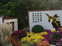 -莲湖公园
