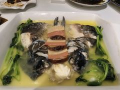 千岛湖鱼头煲-陈记菜馆·非遗淮扬菜(东关街教场店)