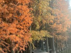 -采石矶景区
