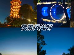 -洋湖国家湿地公园