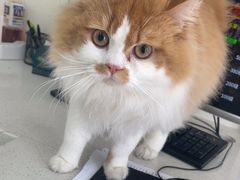 -佳雯宠物医院·皮肤科·内外科(春晓路分院)