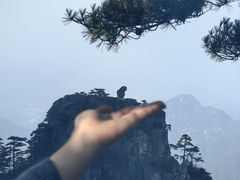-黄山风景区