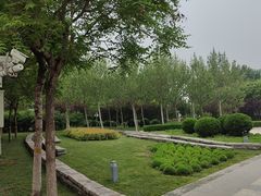 -东疆建设开发纪念公园
