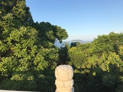 -普陀山风景名胜区-法雨禅寺
