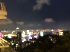 -太平山餐厅(山顶道店)