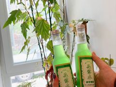 -懒人盐府人家·自贡大麻鱼(安贞店)