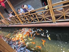 -侠成水上农庄(工业大道店)