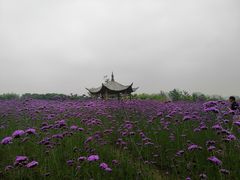 -杭州城北体育公园