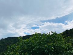 -Local泰莲庭(虹鳟鱼店)
