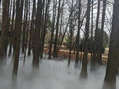 -东湖落雁景区