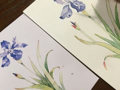 -六出私塾LiuChu•成人美术书法系统课程专业画室(熊婆婆的花园店)