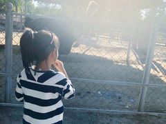 -意大利农场度假村