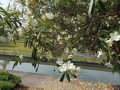 -白塘生态植物园
