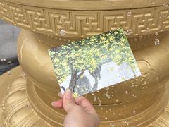 -大明寺素斋
