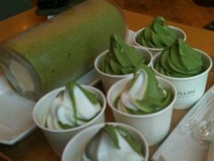 -雪绿茶博物馆