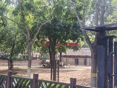 -石家庄市动物园