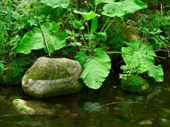 -玉渡山自然风景区