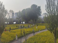 -长白岛森林公园