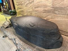-白鹤梁水下博物馆
