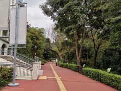 -九龙公园