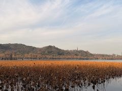 -楼外楼(西湖景区孤山路店)