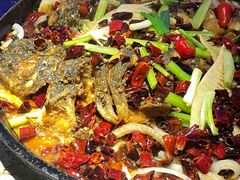 -老板恋上鱼(恒隆广场店)