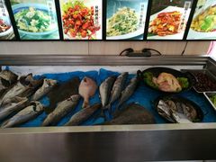 -大城·烧烤海鲜大排档(台东店)