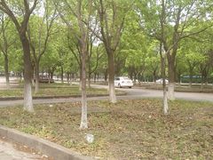 -安飞驰驾校·学车连锁(金高店)