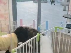 -萌兽医馆·眼科·异宠专科(三里屯店)