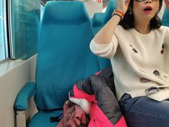 -龙阳路磁悬浮列车总站-停车场