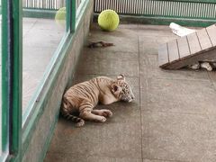 -秦皇岛野生动物园
