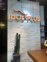 -IDOL-PLUS
