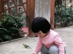 -南宫温泉水世界