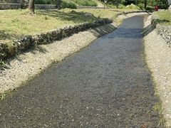 -白水寺森林公园