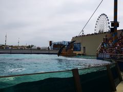 -秦皇岛乐岛海洋王国