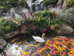 -罗红摄影艺术馆