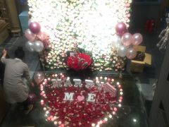 -百好乐宠物友好餐厅(朝外大街店)