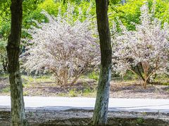 -永定河休闲森林公园